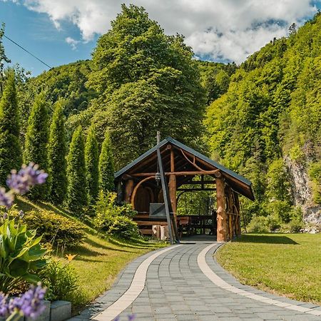 Apartamenty Magia Gór Szczawnica Exterior foto