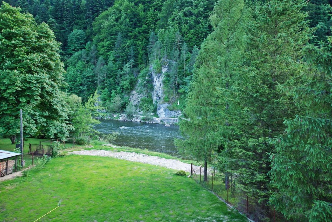 Apartamenty Magia Gór Szczawnica Exterior foto