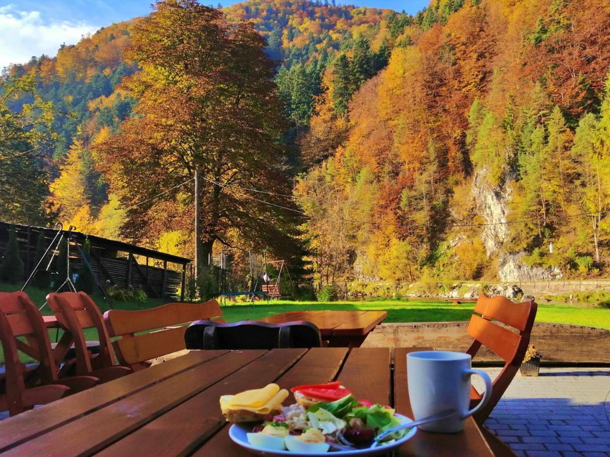 Apartamenty Magia Gór Szczawnica Exterior foto